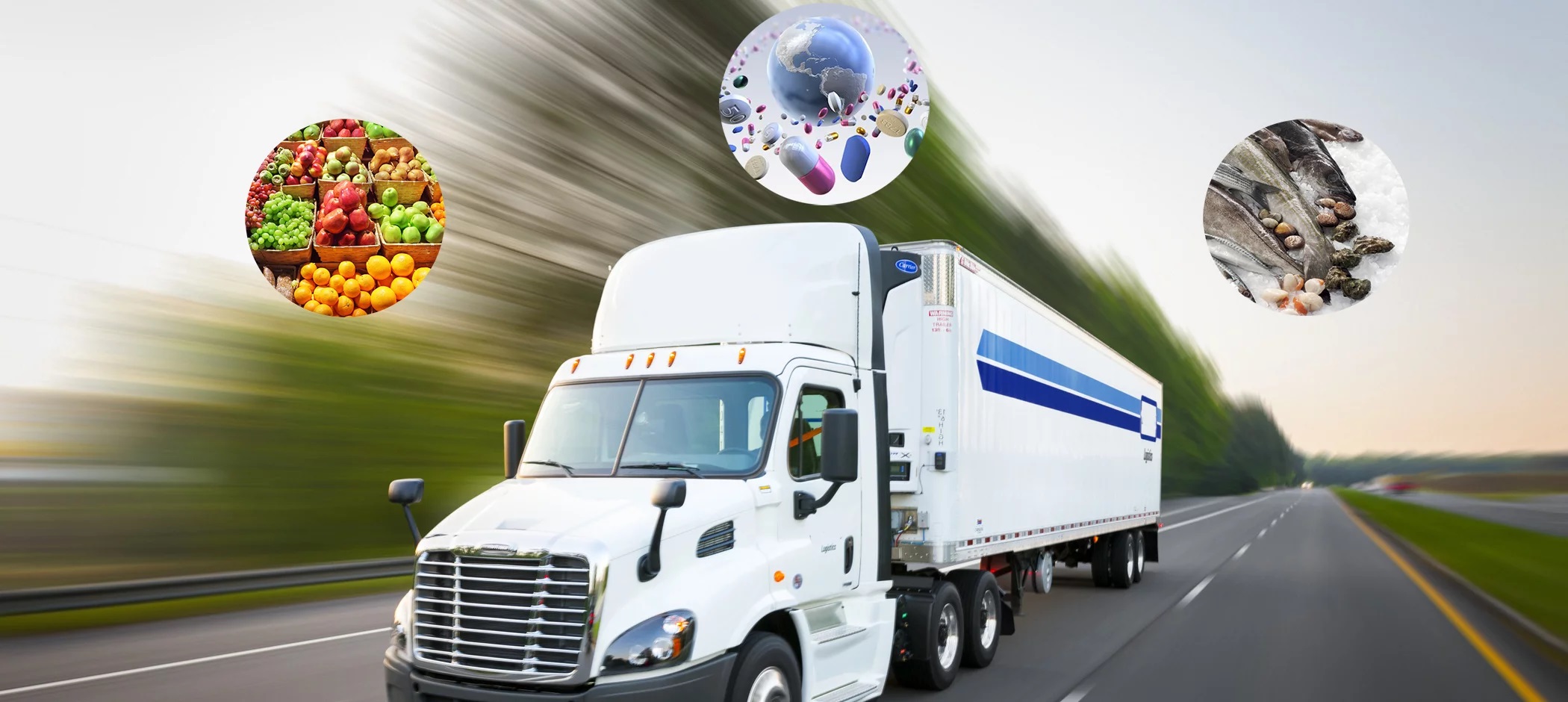 Supply Chain Support